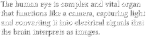 The human eye is complex and vital organ
that functions like a camera, capturing light
and converting it into electrical signals that
the brain interprets as images. The human eye is complex and vital organ
that functions like a camera, capturing light
and converting it into electrical signals that
the brain interprets as images.
